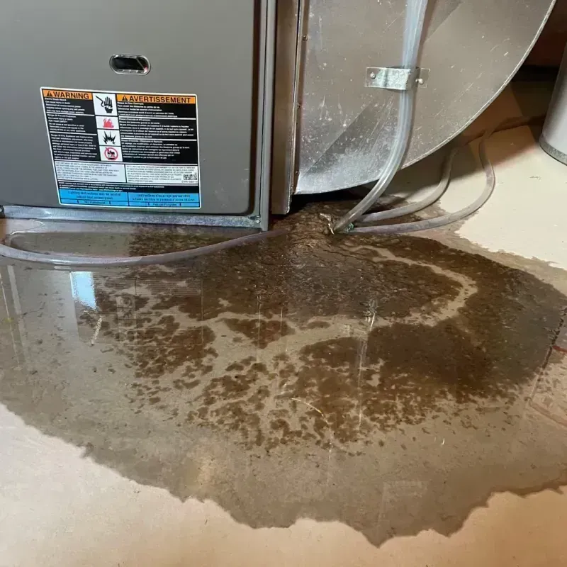 Appliance Leak Cleanup in Buechel, KY